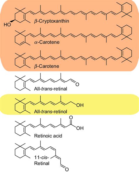 Vitamin A and Carotenoids .